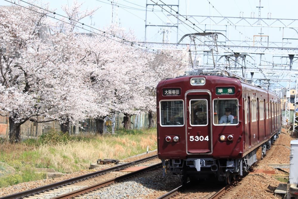 鉄道旅行の旅行記、ブログ記事を作成します 鉄道旅行好きの筆者が鉄道旅行に行きたくなる記事を作成します! イメージ3