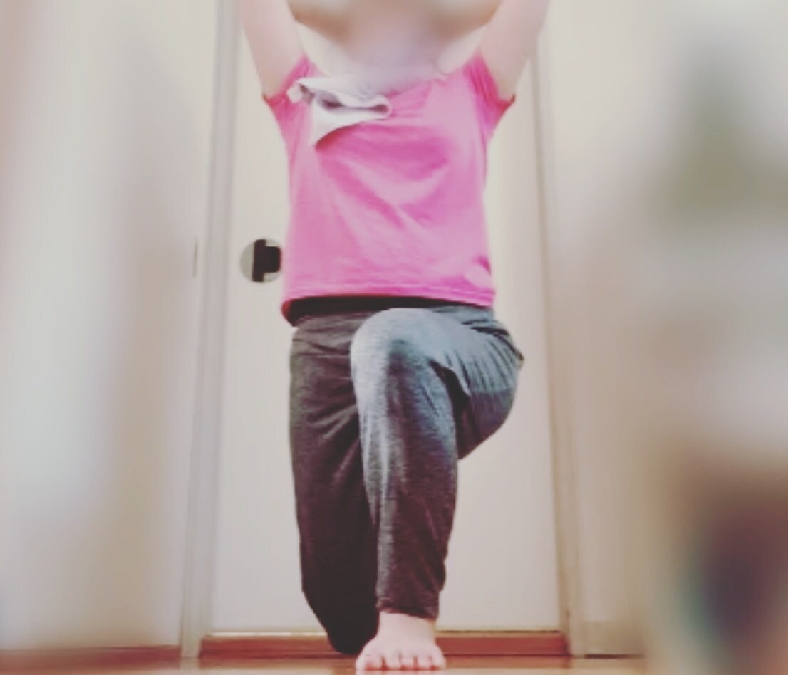 オンラインでトレーニング、ボディメイク手伝います 初心者歓迎。週2回1ヶ月間、プロのトレーナーが徹底サポート！ イメージ2