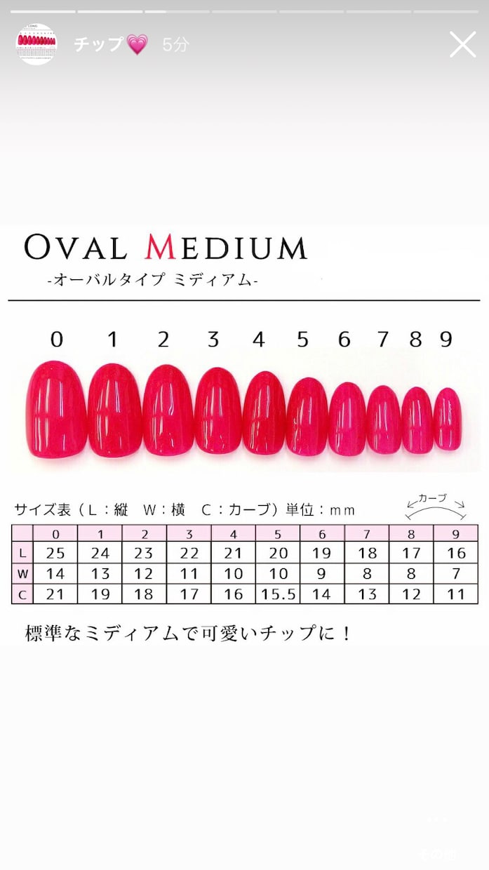 オーダーネイルチップ制作致します お好きなデザインのネイルチップを作成します！ イメージ6