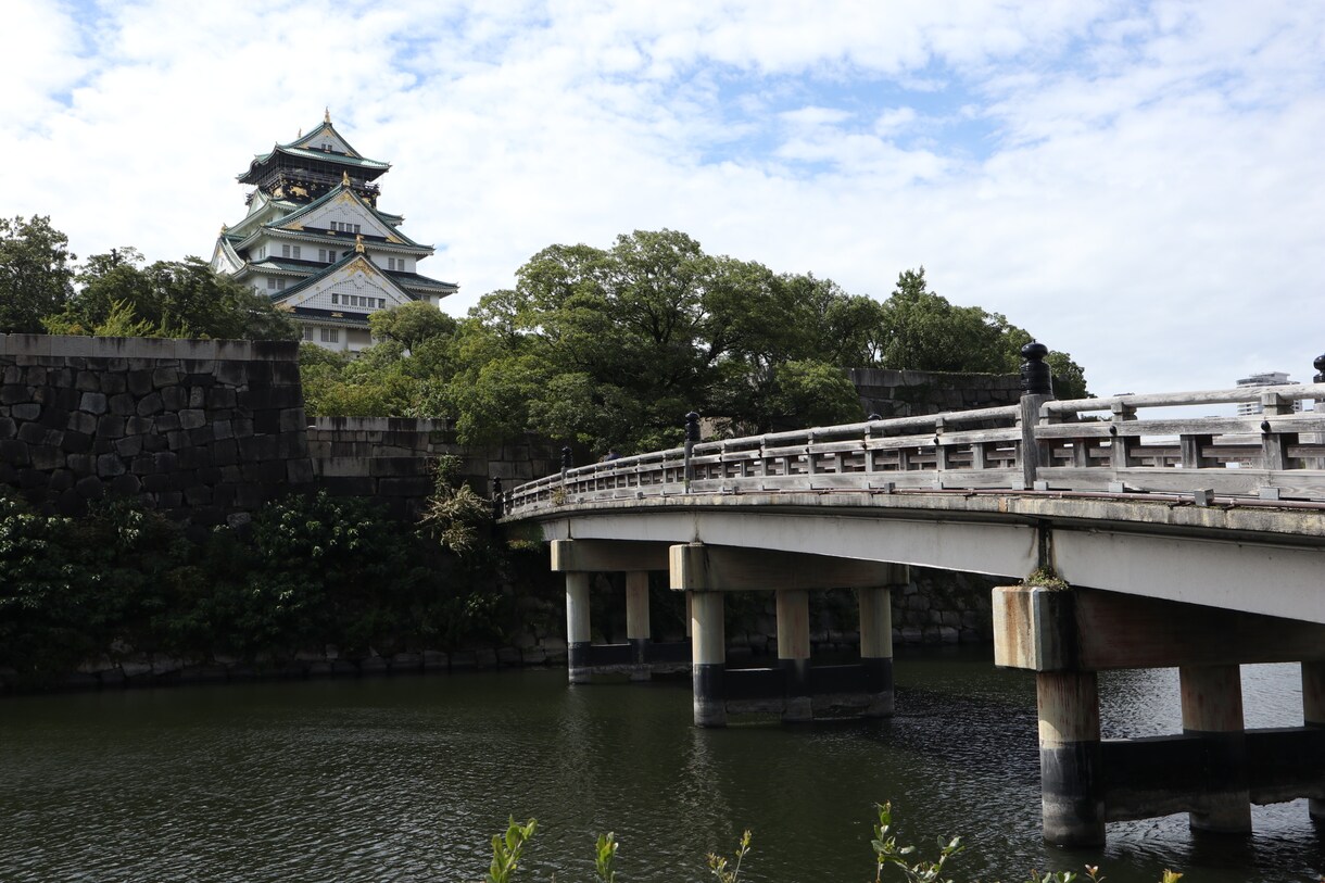 写真の素材を提供します 一眼レフで撮った写真を提供します。 イメージ3