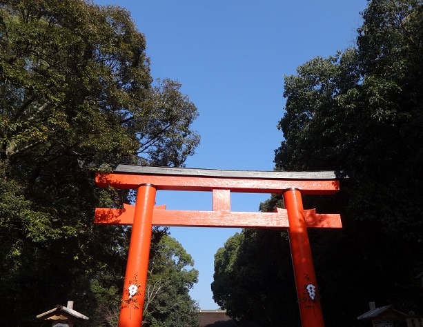 あなたのお好きな神社を鑑定致します この神社があなたにとってどんな導きがあるのかをお教えします！ イメージ1