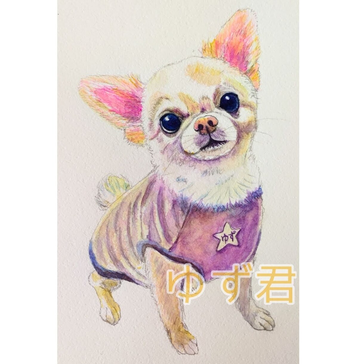 うちの子かわいい似顔絵SMサイズ水彩画描きます 記念日にも！可愛いうちの子水彩画！！ イメージ4