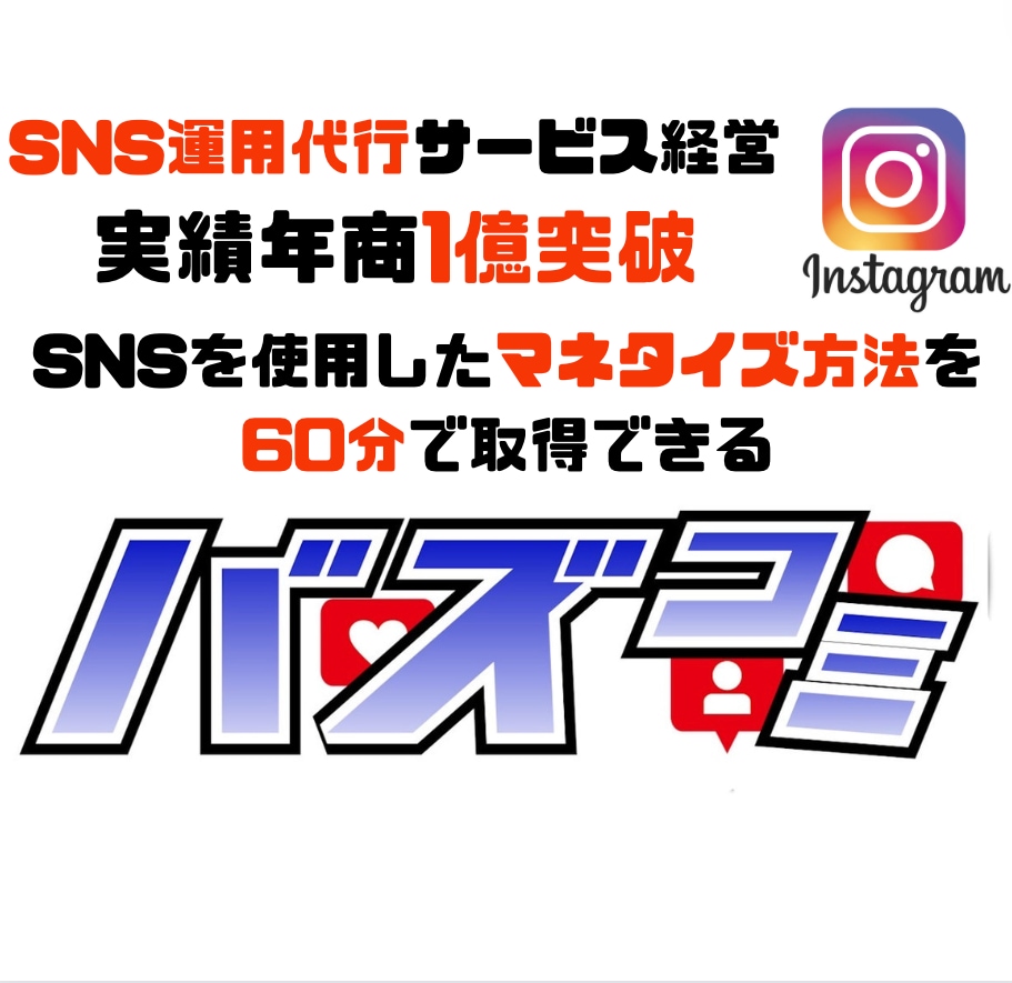 初回限定！SNSマーケティングを教えます SNSでのマネタイズ方法をたった60分で獲得できます イメージ1