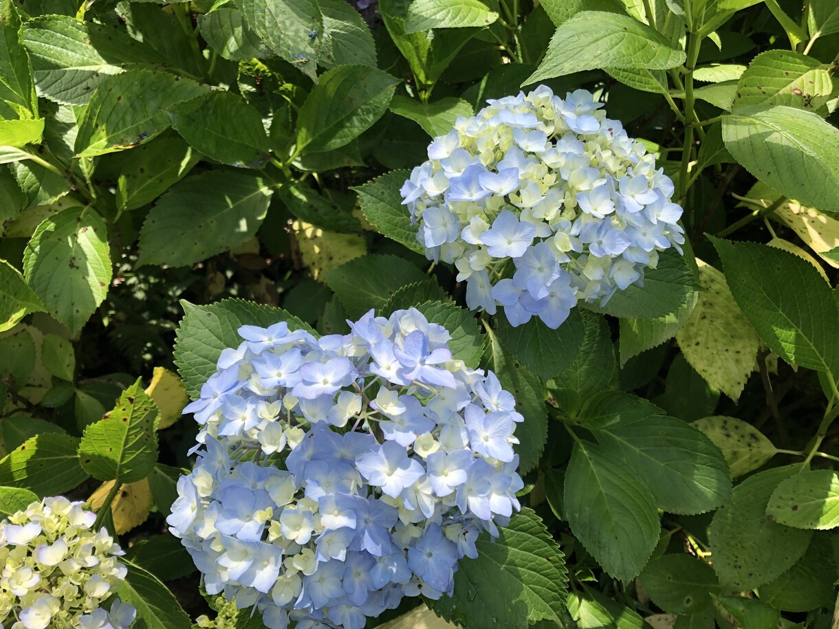 今！話せます 今すぐ！何でも！時間も自由！ご自由にお使いください^ ^ イメージ7