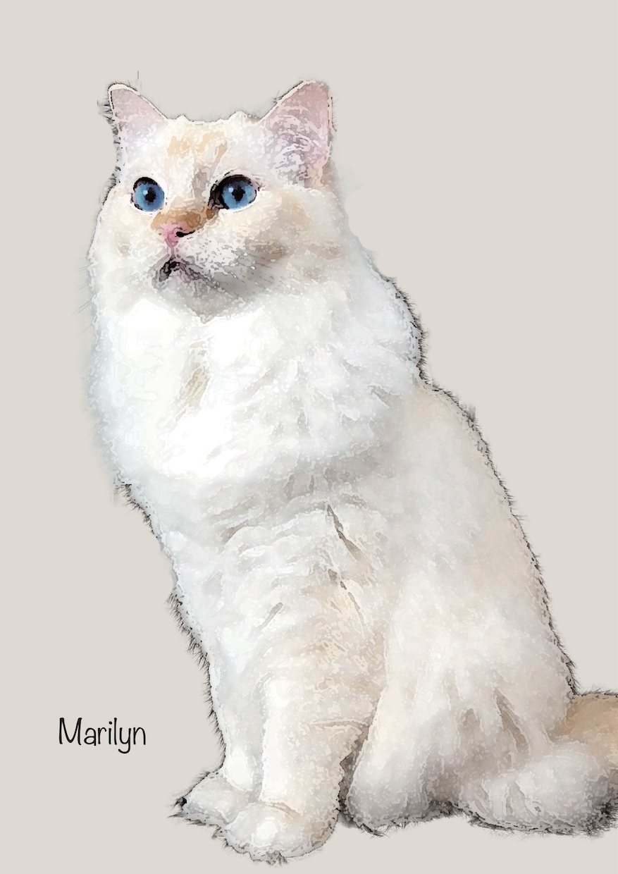 肖像画風画像作成ます 大切なペット猫ちゃんの写真を飾りたい人へ イメージ2