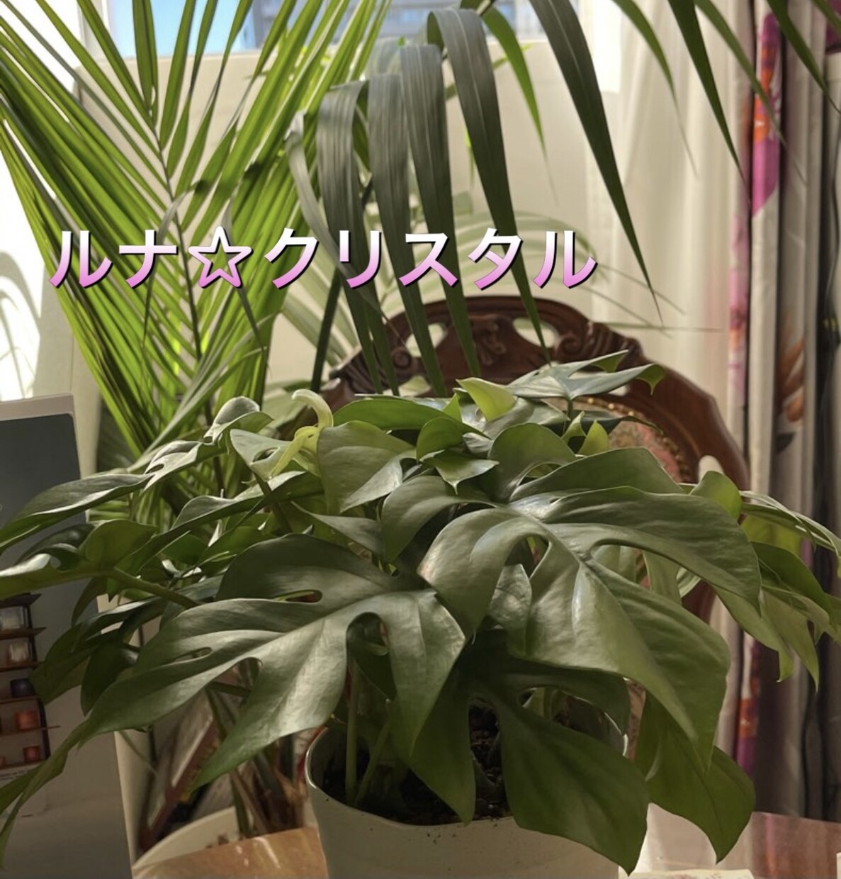 大好評！サクっと宇宙ダウジング肩押回答します ねぇ教えて！高次元回答yes かnoか迷い断ち切り、決定へ！ イメージ4