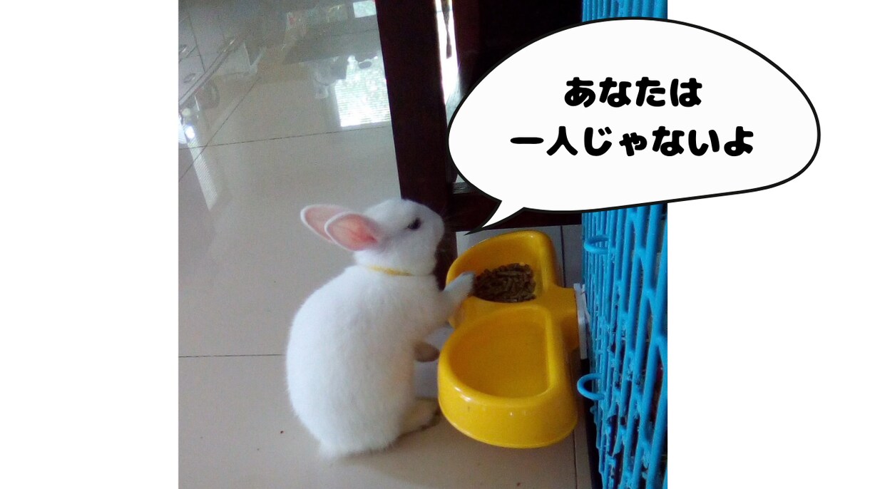 寄り添いママ志(こころ)と申します あなたのお話しに、耳を傾けます。安心して話してね‼️ イメージ3