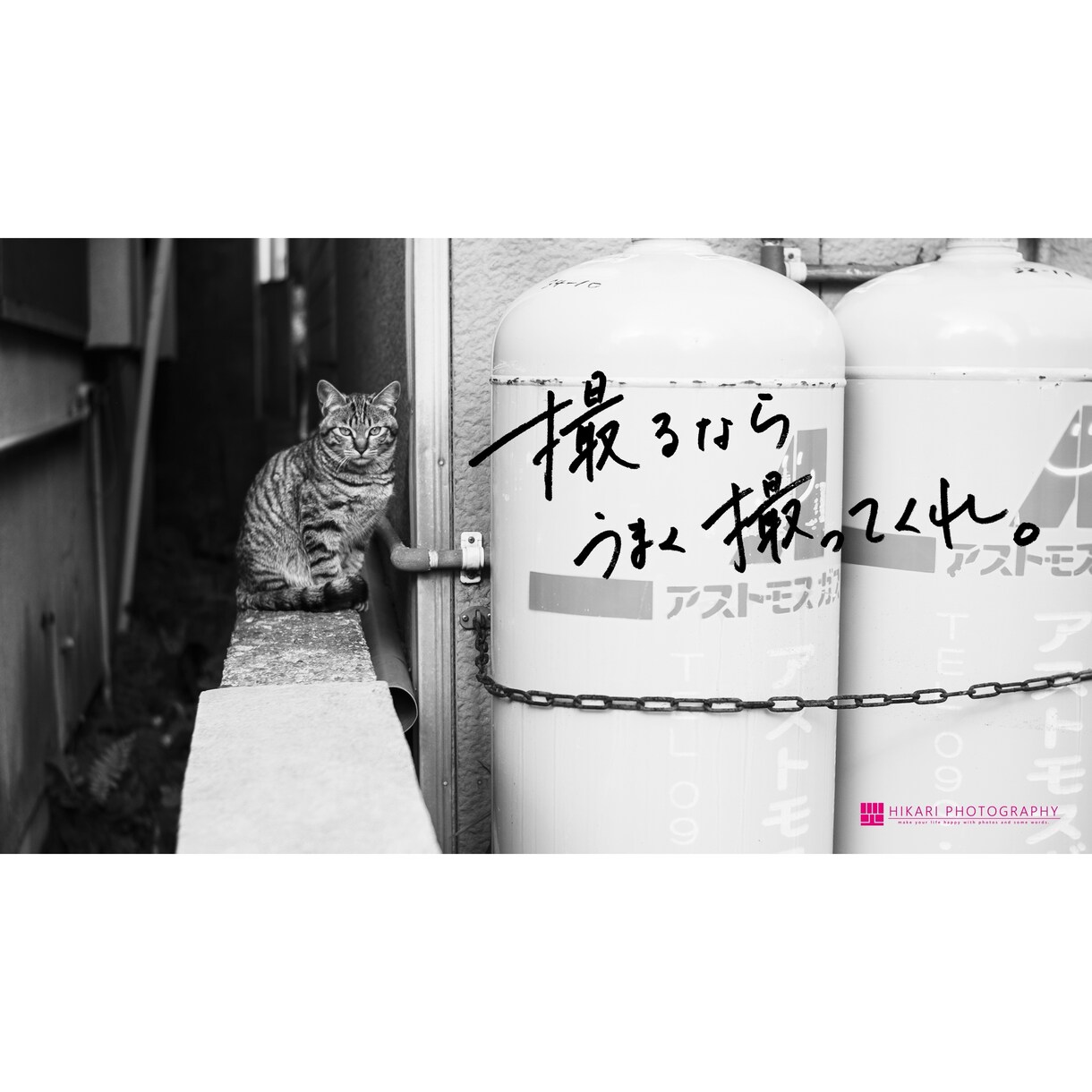 文字を書きます 鉛筆で文字を書いて、画像と合成します。 イメージ3