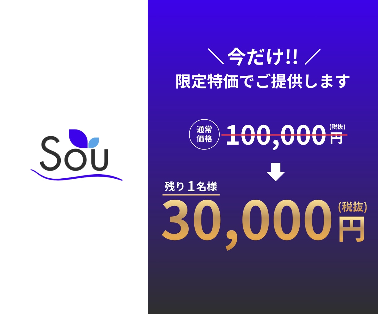 残り１名様のみ！特別特価でご提供いたします プロSNSマーケターがホームページ制作を通じて集客のご支援を イメージ1