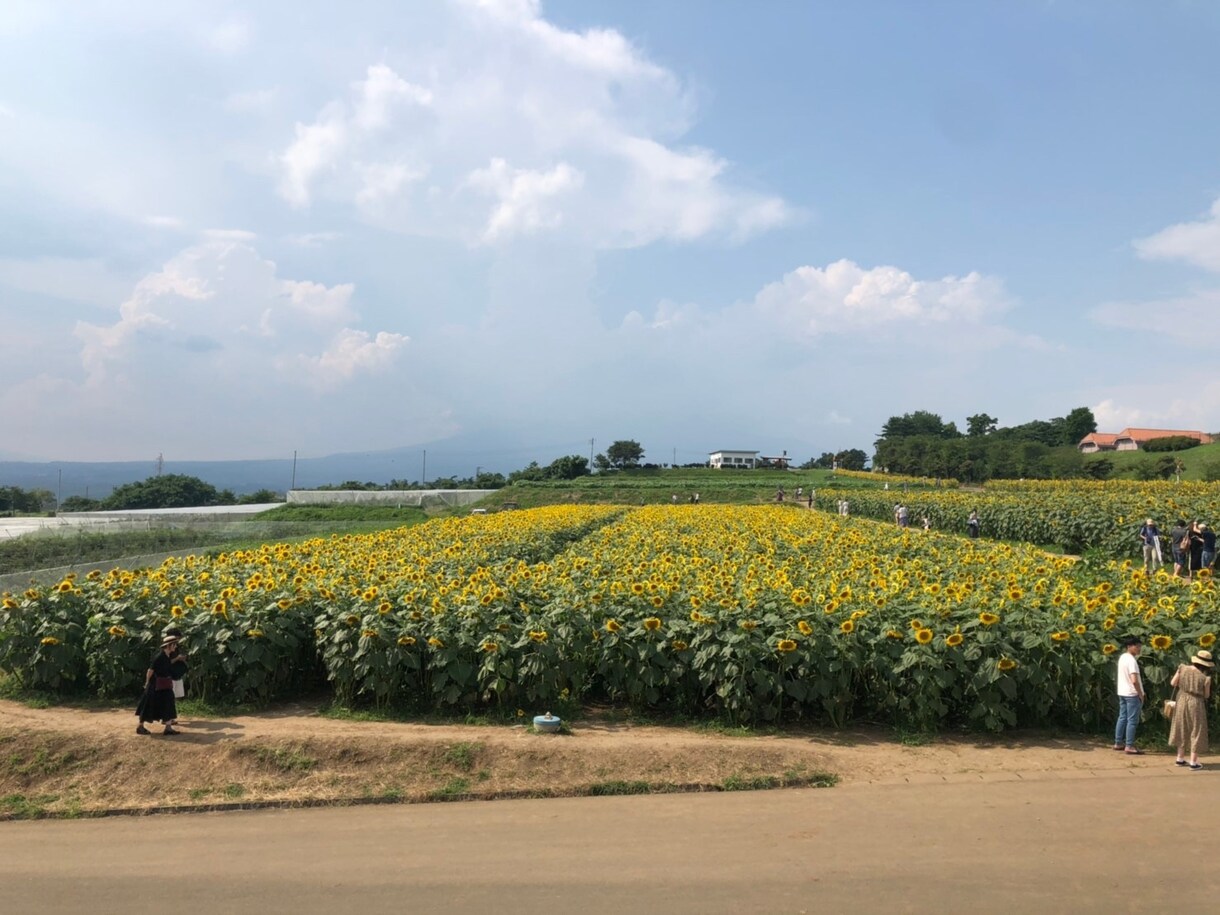 インターネット副業が心配の方、騙される前にます 副業を始めようとしているかた稼げないものと追加金額に注意 イメージ1