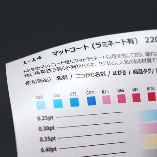 再印刷・追加印刷用/名刺を100枚印刷します 両面高級PP加工／簡単な修正は無料！ イメージ2