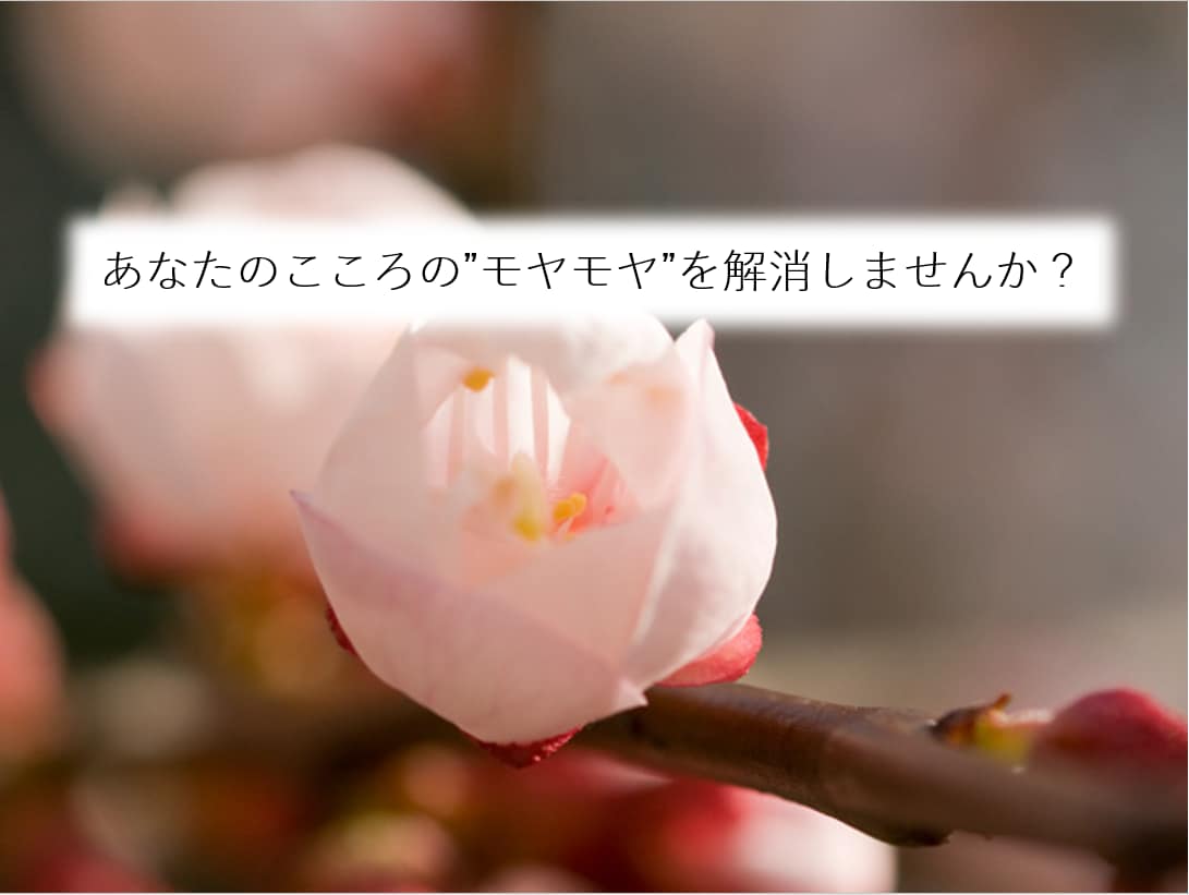 こころにある”モヤモヤ”の解消をお手伝います ジャンル不問。”モヤモヤ”した気持ちを吐き出してみませんか？ イメージ1