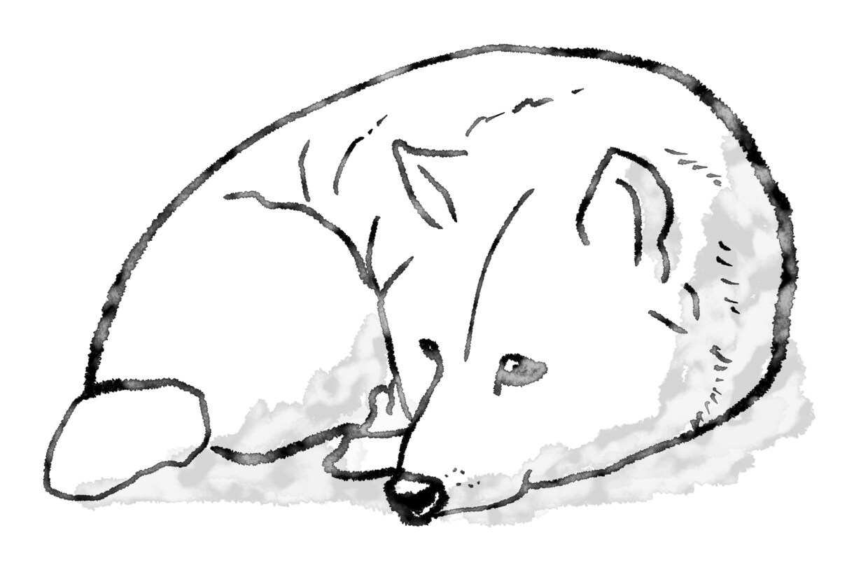可愛いくてかっこいい動物のイラストを描きます シンプルな線画ではがきや年賀状、SNS等のアイコンにも！ イメージ3