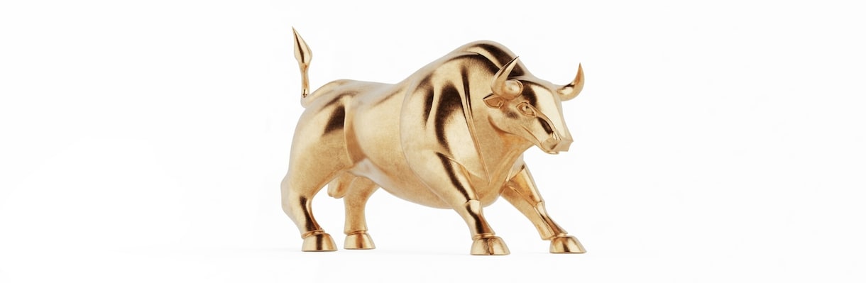 GOLDで救われた方法を解説しています 独自の相場物理学。急所を突く完結型チャネル観測法 イメージ1
