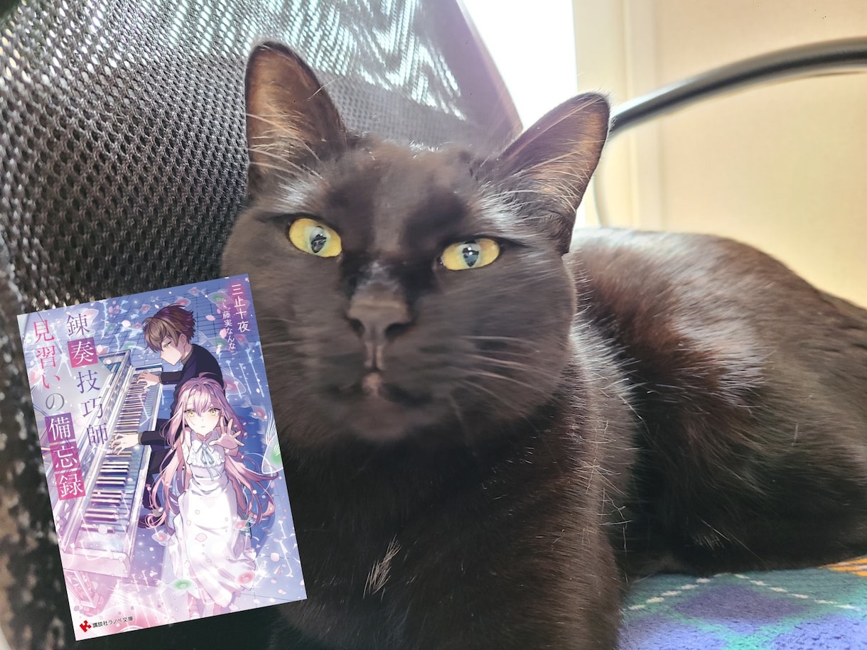 プロのラノベ作家があなただけの物語を〝紡ぎ〟ます ～ラノベ新人賞５３９作品のTOPに輝いた実力をあなたに！～ イメージ1