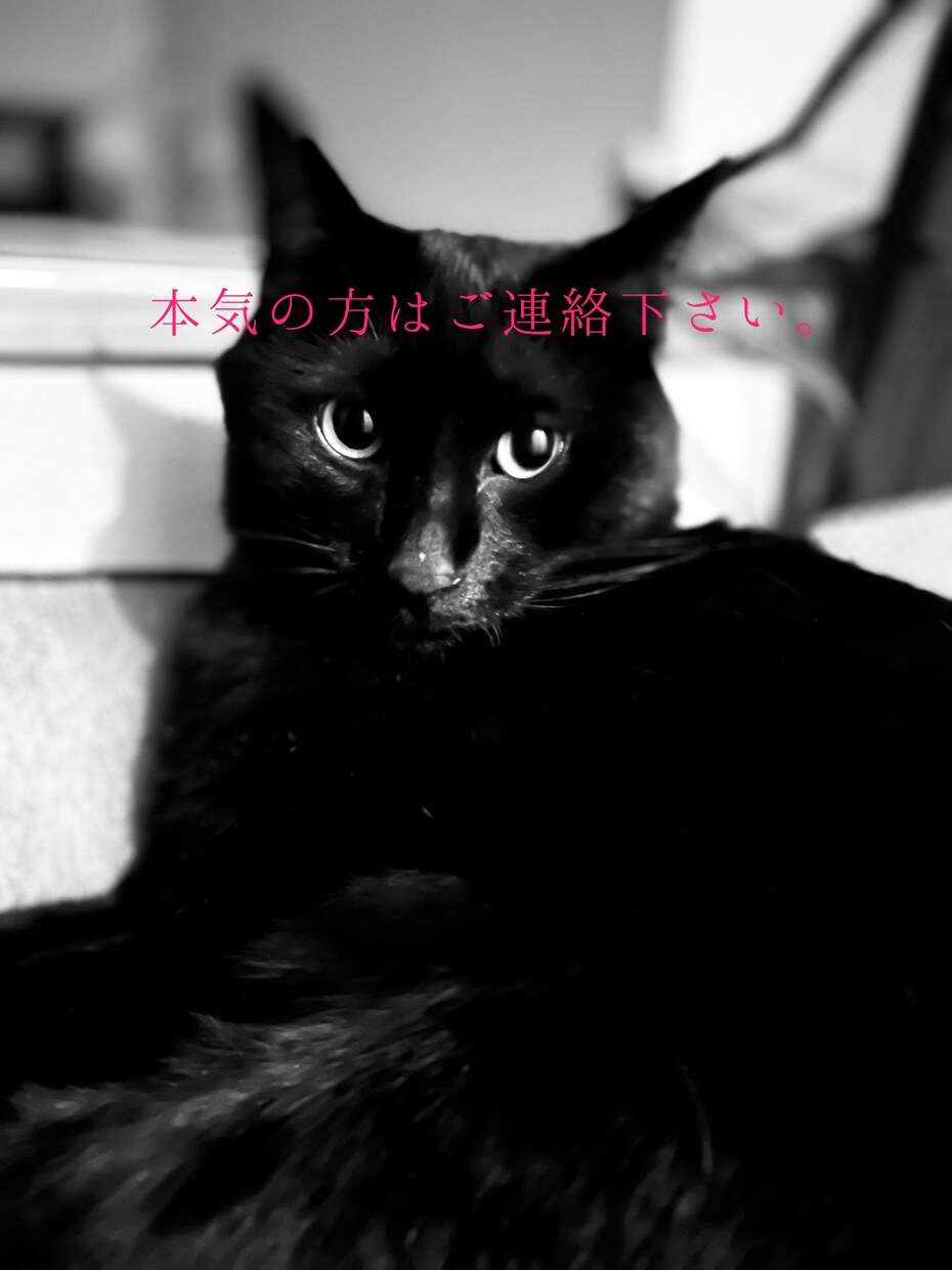 自分改革のお手伝いをします 豊富な経験を武器に変わりたいあなたを全力サポート イメージ1