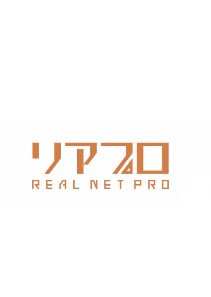 不動産ポータルサイトへの物件登録代行します 不動産会社様のお手伝いをさせていただきます イメージ3