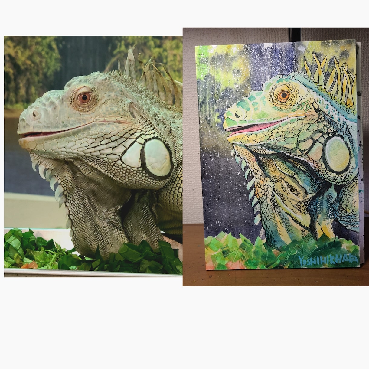 動物の絵を描きます ペットをアートにしてみませんか？ イメージ3