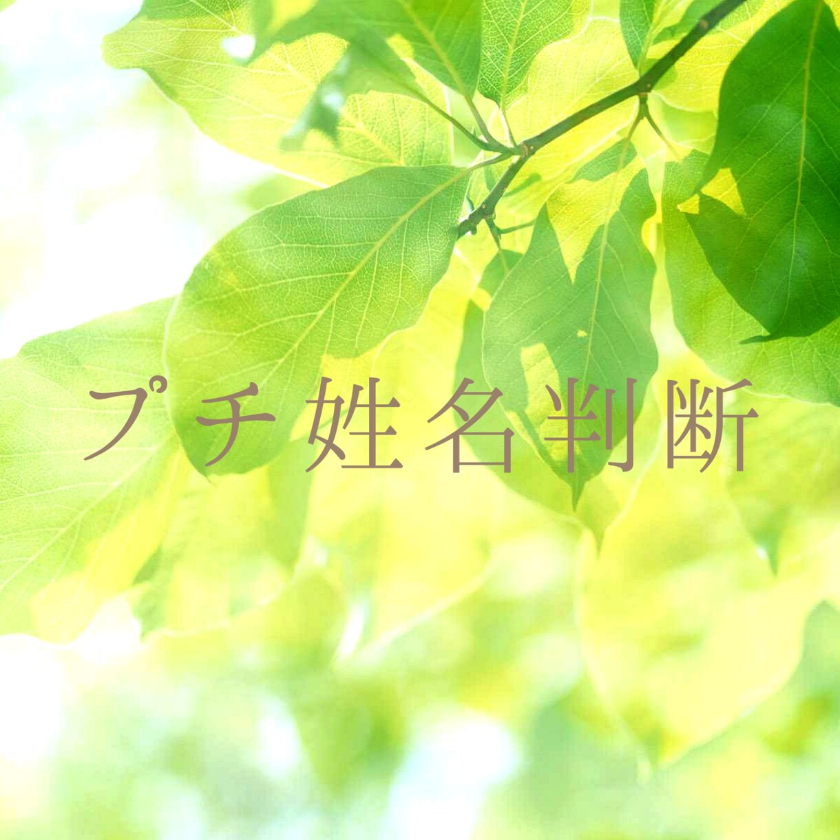 あなた様のお名前がもつ意味を鑑定いたします 経営者やこれから改行予定の方にお勧めです。 イメージ1