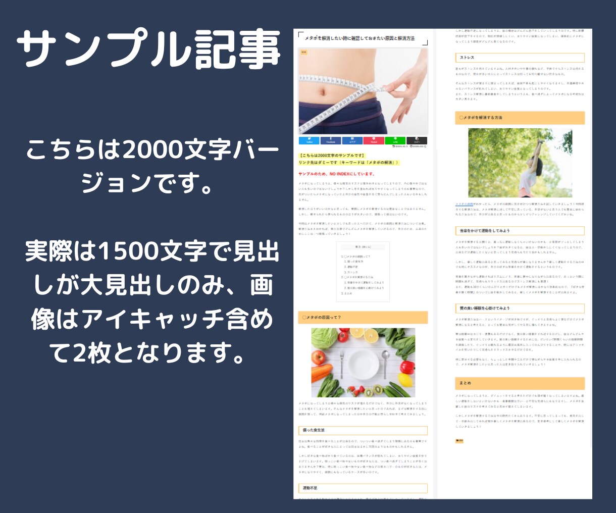 DR50以上の3つの日本語ブログからリンクします IP分散の国内サーバーのブログから1500文字以上でリンク イメージ3