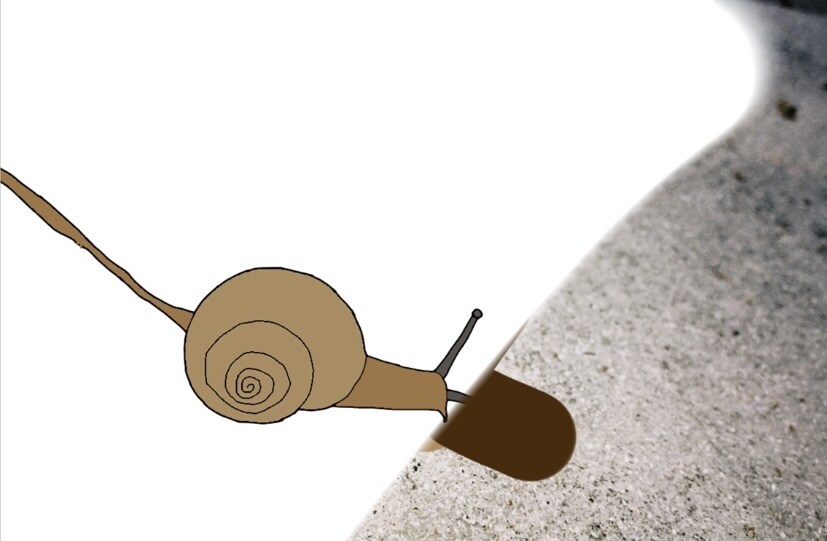 流行りのイラストを描きます 色を塗って消すと細かく絵の書かれた動画を作ります。 イメージ4