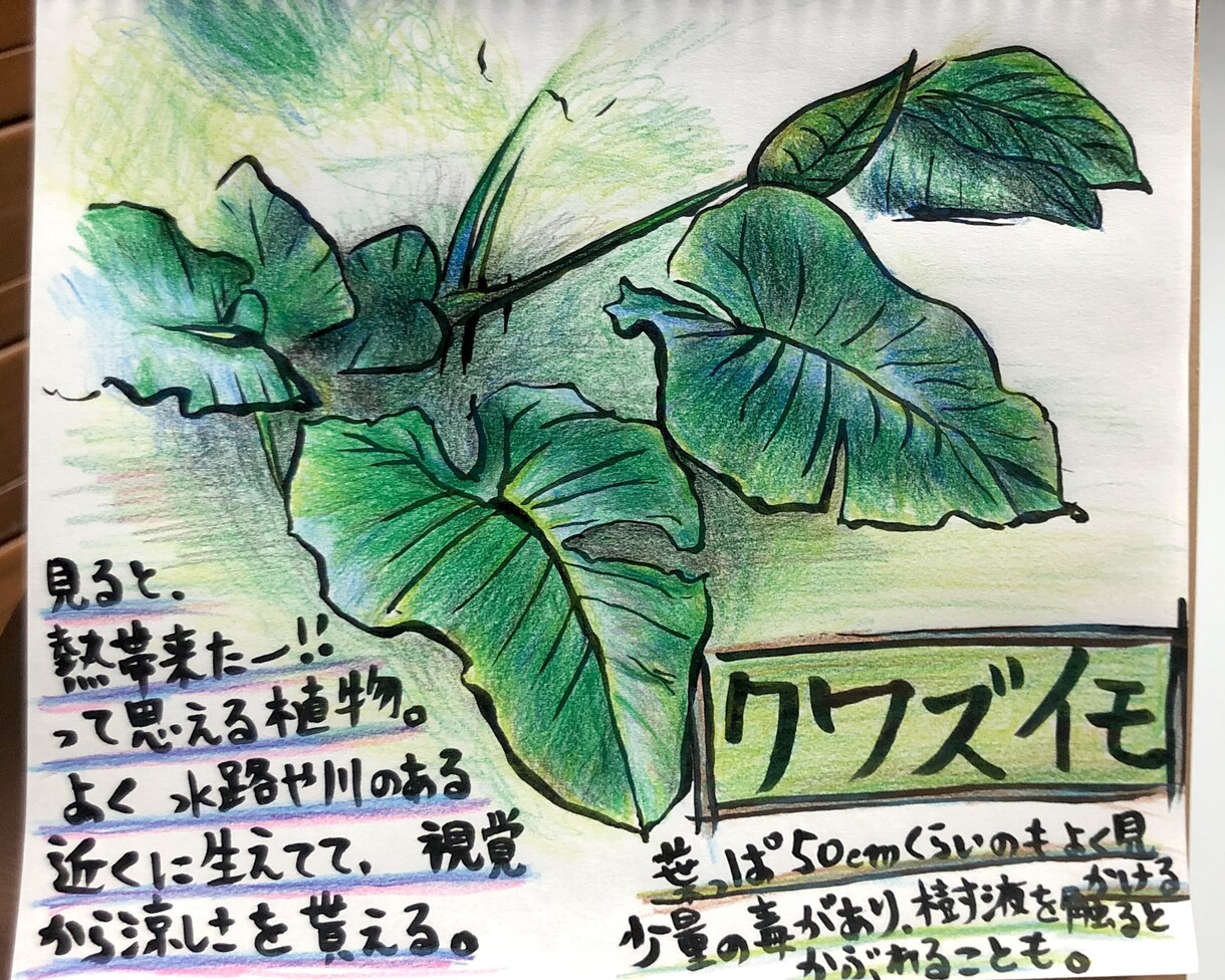 温かみのあるアート描きます 色鉛筆と筆ペンで描いた温かみのあるシンプルアート！ イメージ7