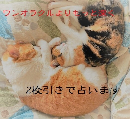 ワンオラクルよりもっと深く占います 2枚引きして、私とあの人　今日と明日　yes/No　を占おう イメージ1