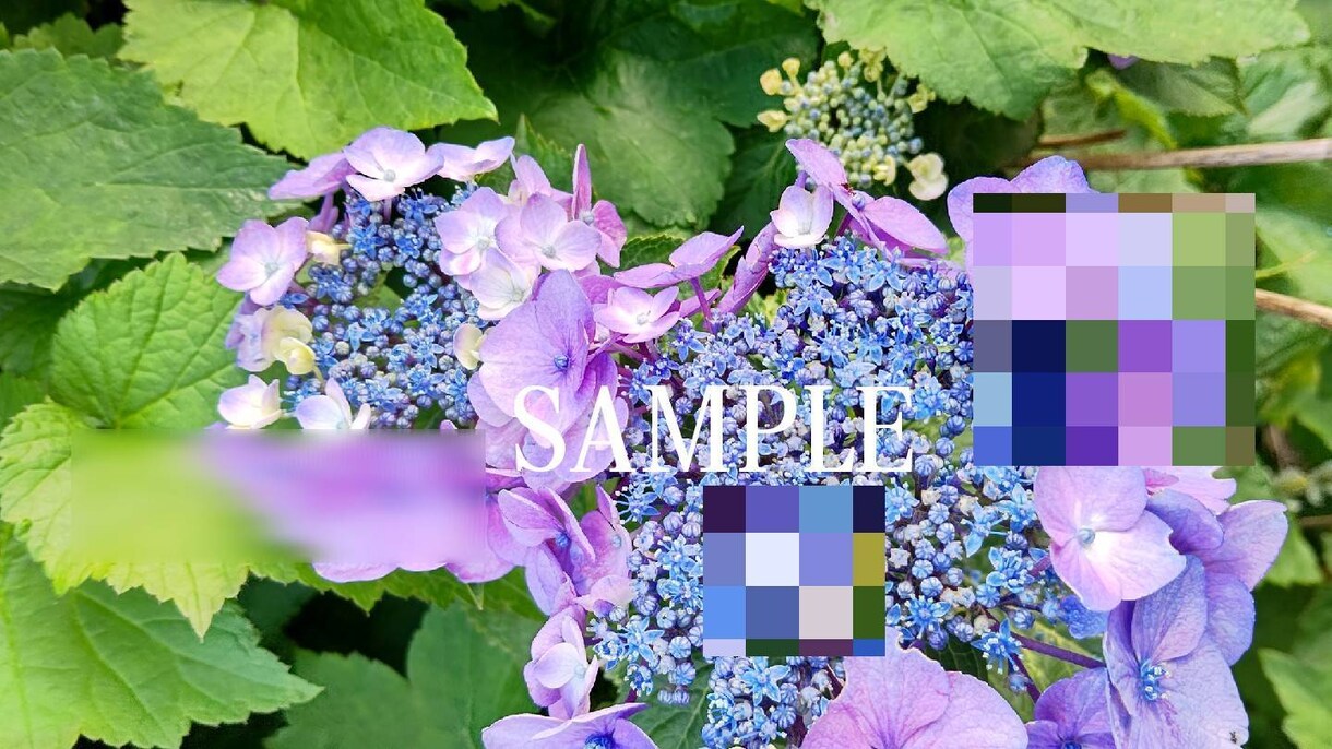 四季の写真、花中心に撮影致します 癒し、サムネイル、アイコン等に如何ですか？ イメージ2