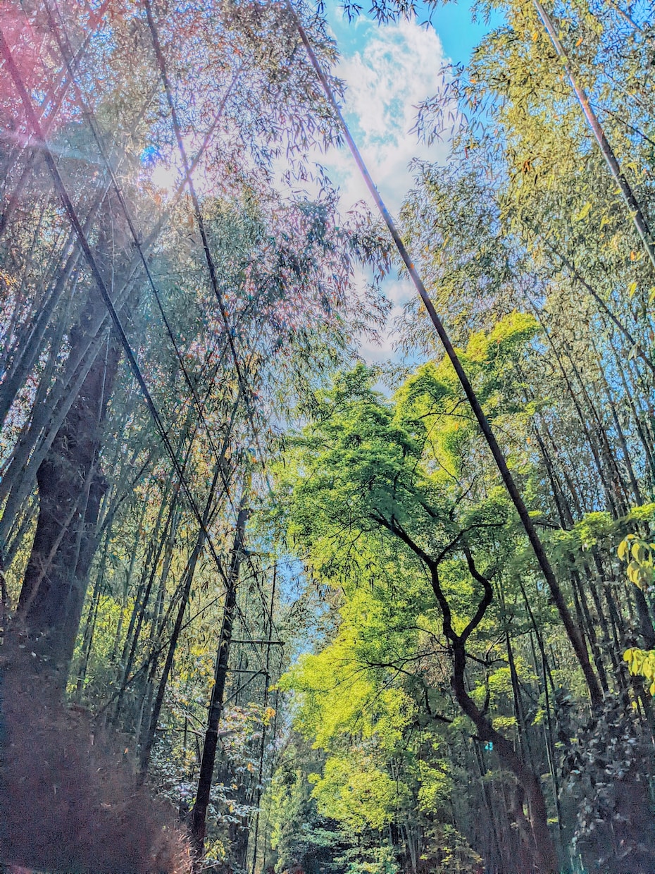 美しい風景写真等お売ります 都会では撮れない美しい風景がここにあります イメージ3