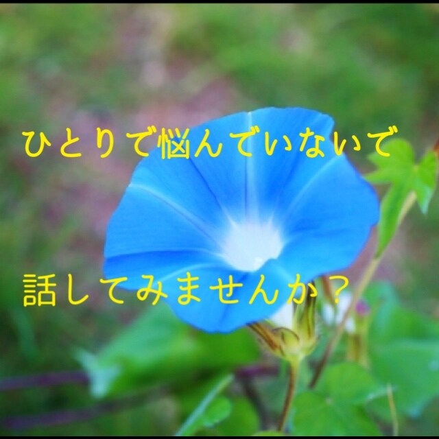 心のお悩み聞きます 自分のための人生をエンジョイしましょう イメージ5