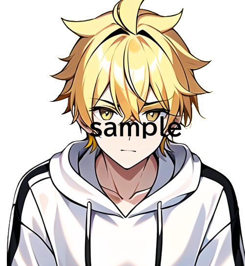 格安でLive2Dのアバターを作成します キャラデザ・Live2Dモデリングします イメージ4