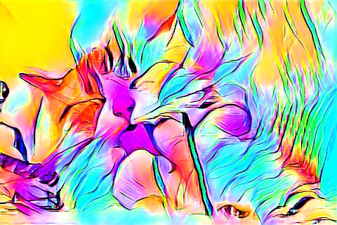 ペットとの思い出を世界に一つだけのアートにします ペットとの大切な思い出は何ですか？ イメージ3