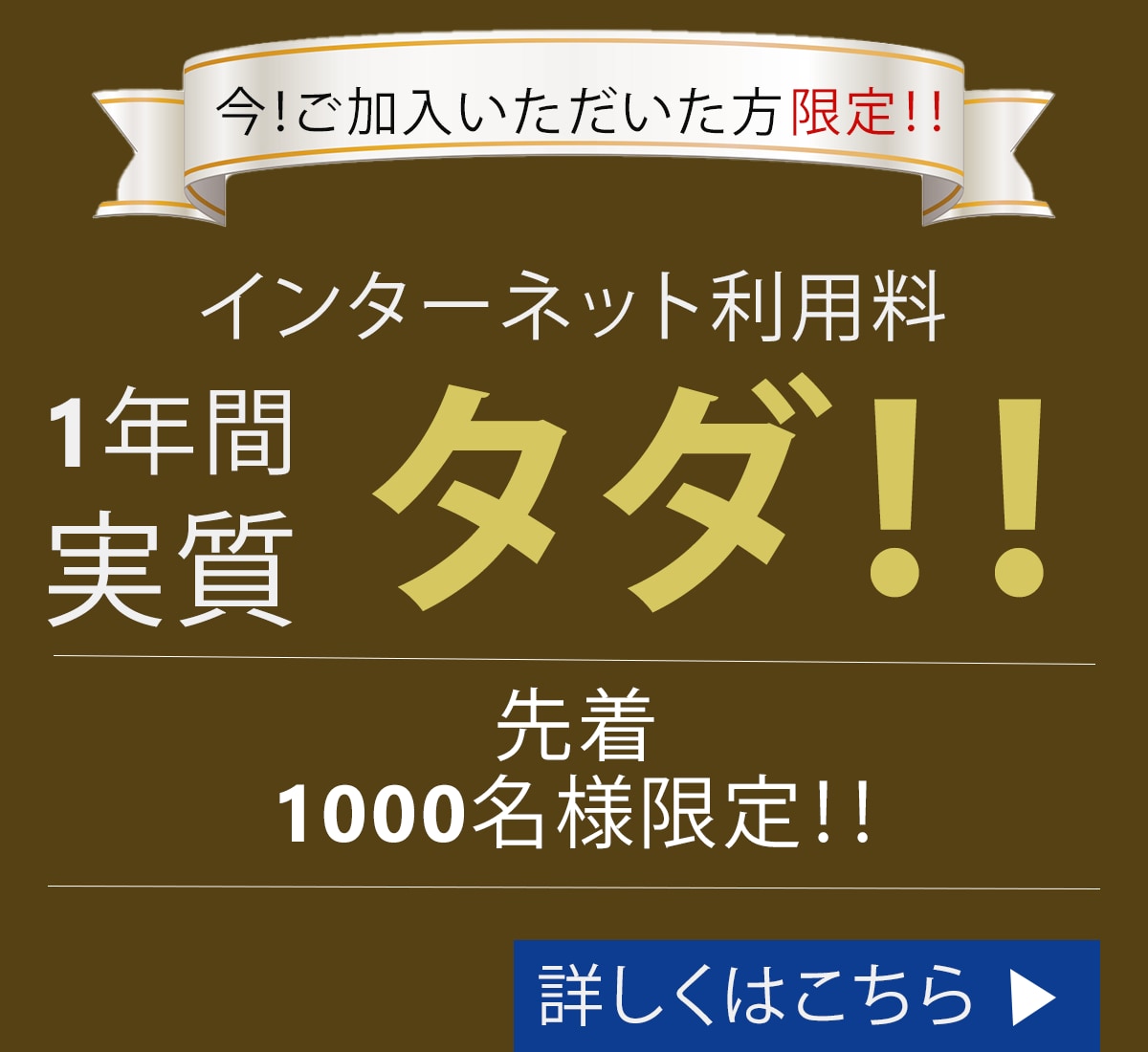 丁寧で目にとまるバナー作ります 1月末までの期間限定1500円で作ります イメージ4