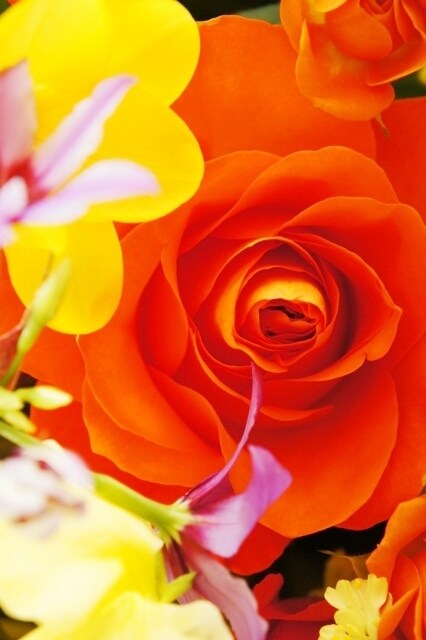 生花のことなんでも相談にのります キャリア30年以上の現役花屋が教える花と暮らしのいい関係 イメージ8