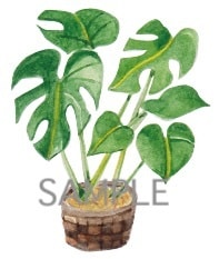 完成品・水彩イラスト描いています 受注製作ではなく出品作品のみです イメージ8