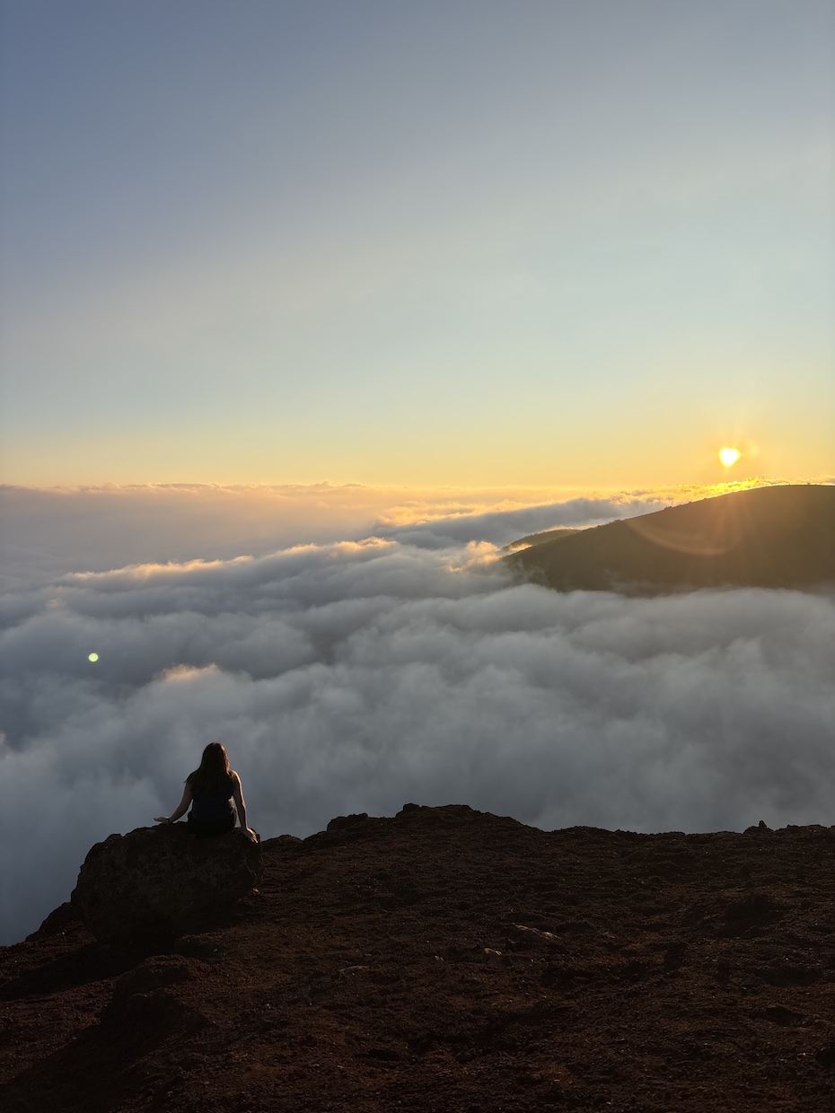 HAWAII旅行の大満足プラン作成します 毎年1回以上、ハワイに行っているので最新情報をお伝えします イメージ3