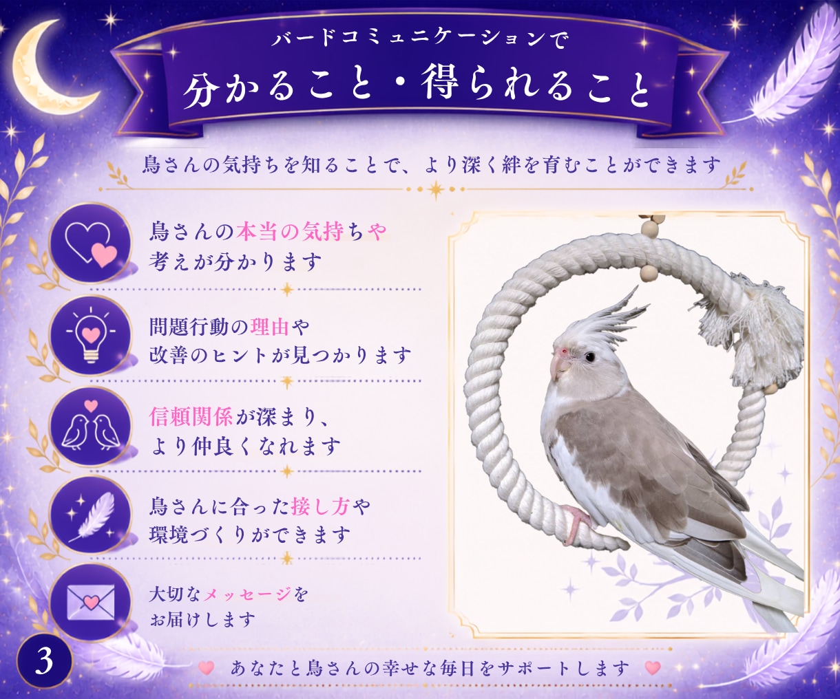 鳥さんの気持ちを丁寧にお伝えします 言葉にならない想いを静かに届けます。 イメージ3