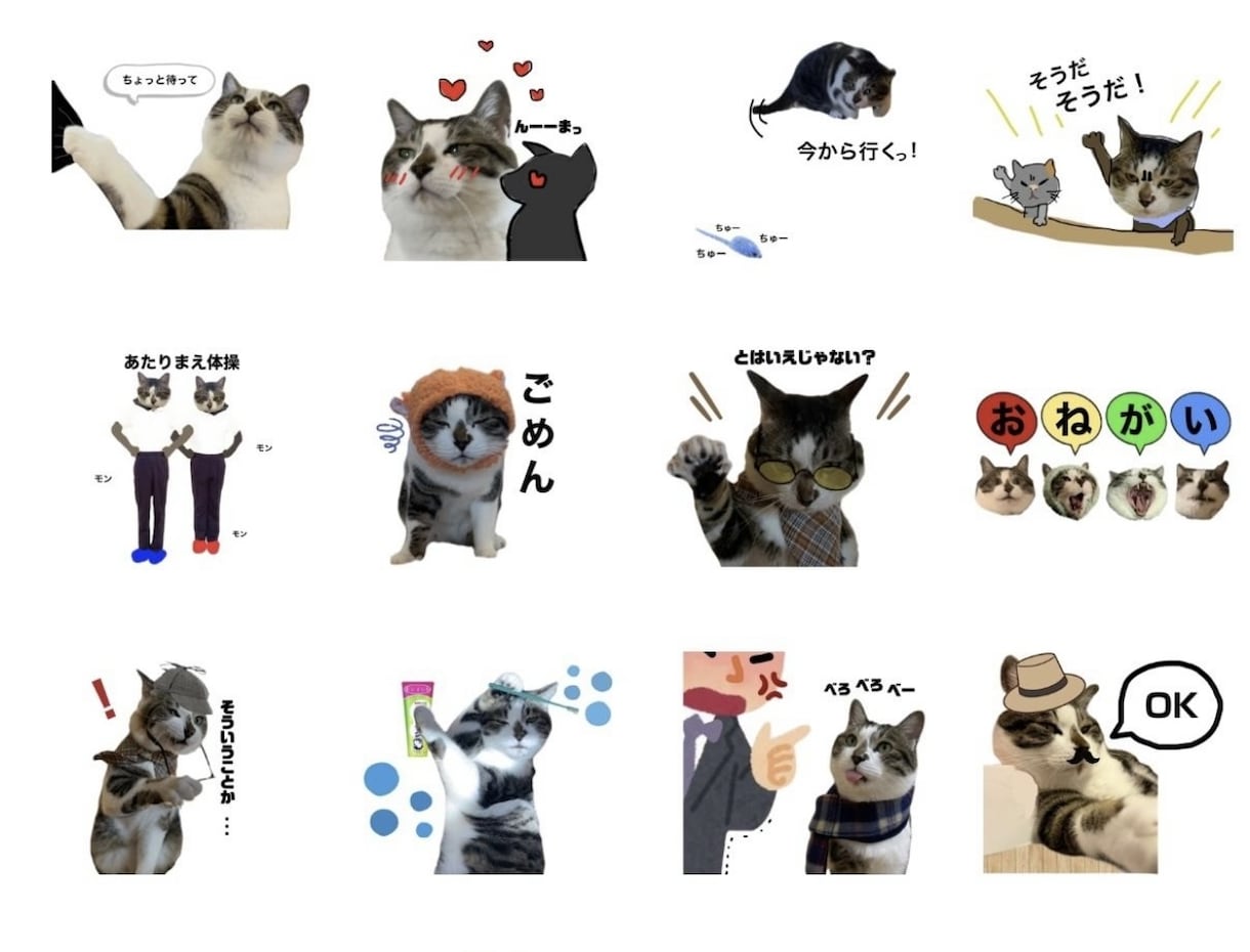 眠っているスマホの写真でLINEスタンプを作ります 可愛くて撮ったフォルダに入ったままの写真をLINEスタンプに イメージ3