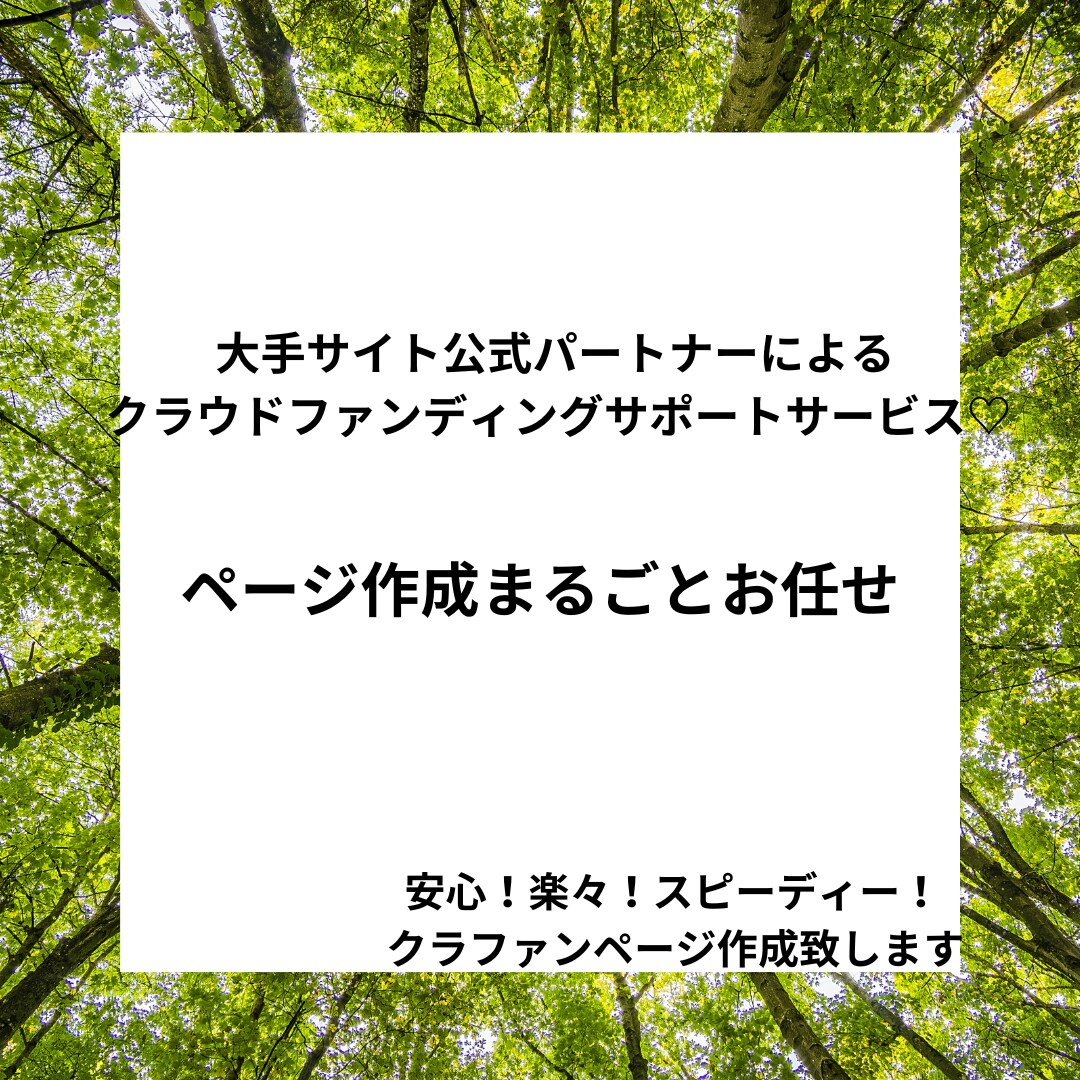初めてのクラウドファンディング！ページ作成します 安心、楽々のお任せプラン。ページ作成お任せください。 イメージ1