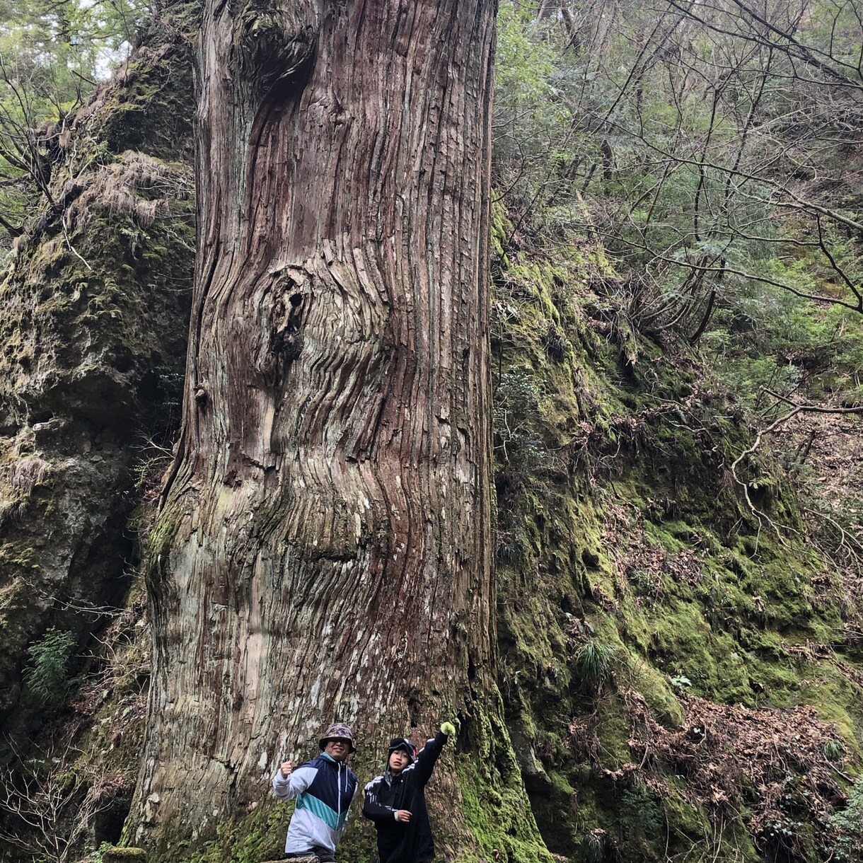 福岡県の登山を教えます 福岡県限定、登山初心者の方いませんか イメージ4