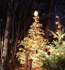 クリスマスに素敵なデートできます あなたの魅力を引き出すお手伝いさせてください！ イメージ4
