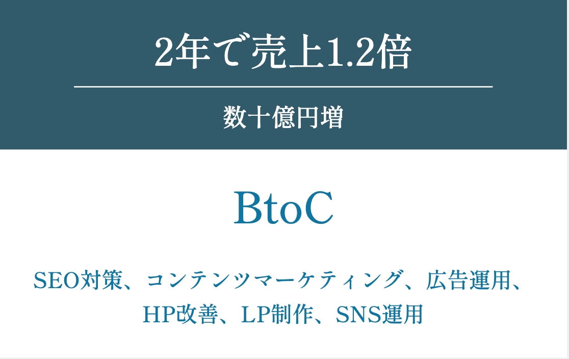 WEB戦略・ホームページを格安で診断します WEBマーケティングの専門家が売上アップの診断をします イメージ2