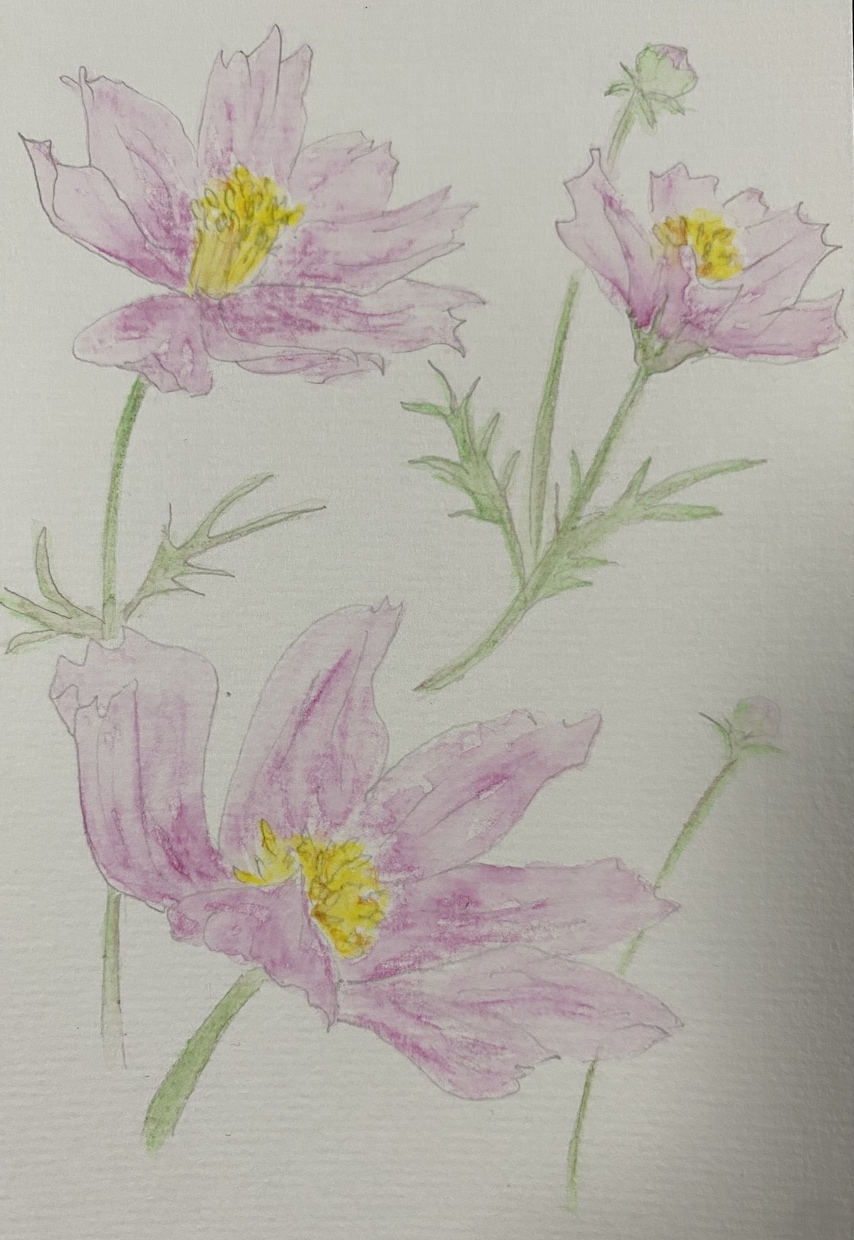 絵葉書承ります 絵葉書で気持ち伝えてみませんか？ イメージ1