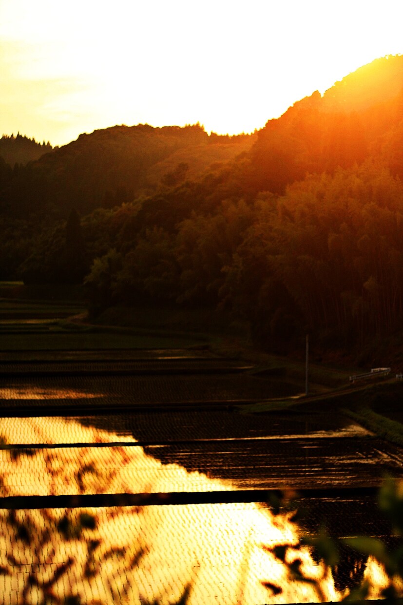 季節に応じた写真提供いたします 日本の四季や文化、風景ををお届けいたします。 イメージ8