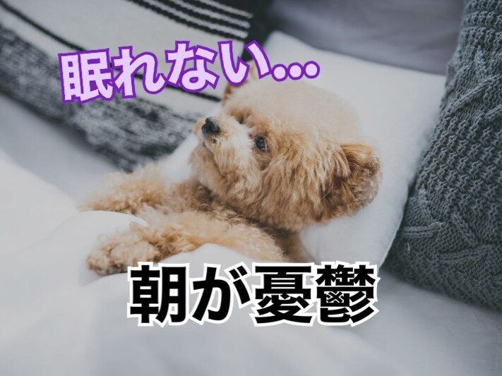 動画有り！マシンガンOK！愚痴・お話聞きます １分でもOK✨心のデトックス☘️お手伝いします✨ イメージ4