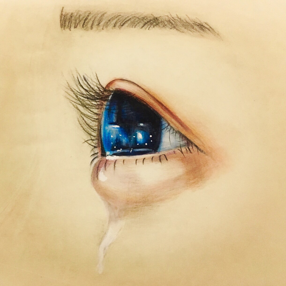 色鉛筆で暖かみのある絵を描かせて頂きます お好きな動物、ペットをアートという形で残しませんか？ イメージ3