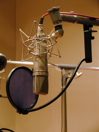 様々な声のお仕事承ります 元気で明るい声をご提供致します！ イメージ1