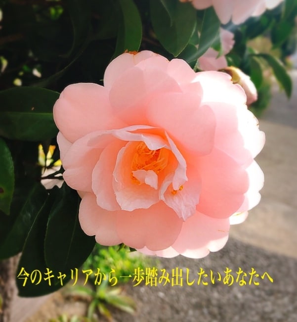 あなたのキャリアや働き方への第一歩を応援します 現状の働き方や環境にモヤっとしてる方。違和感の元探りましょう イメージ1