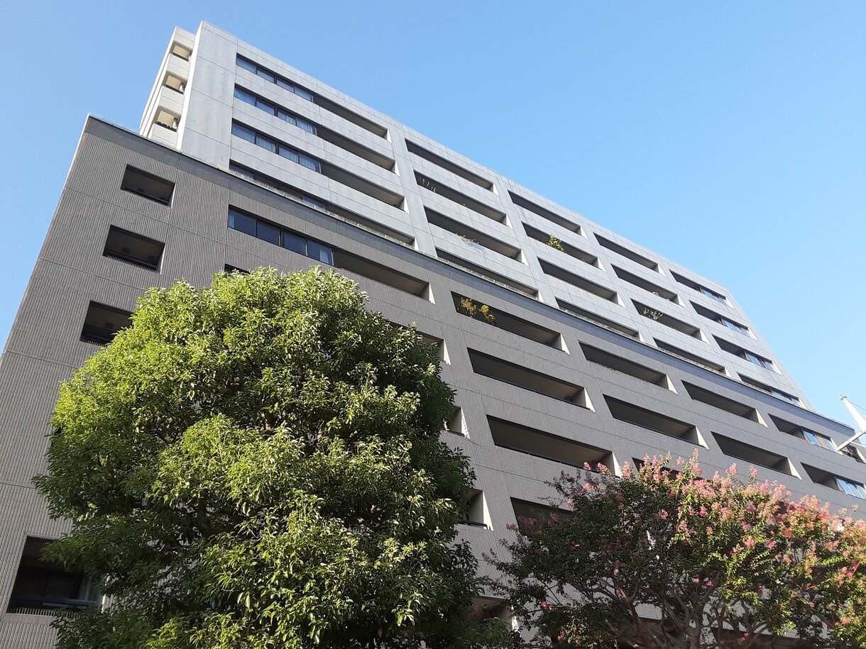 不動産鑑定士が福岡市のマンションを簡易調査します 学区や立地、割安さ、設備水準などを調査（要望も承ります） イメージ1