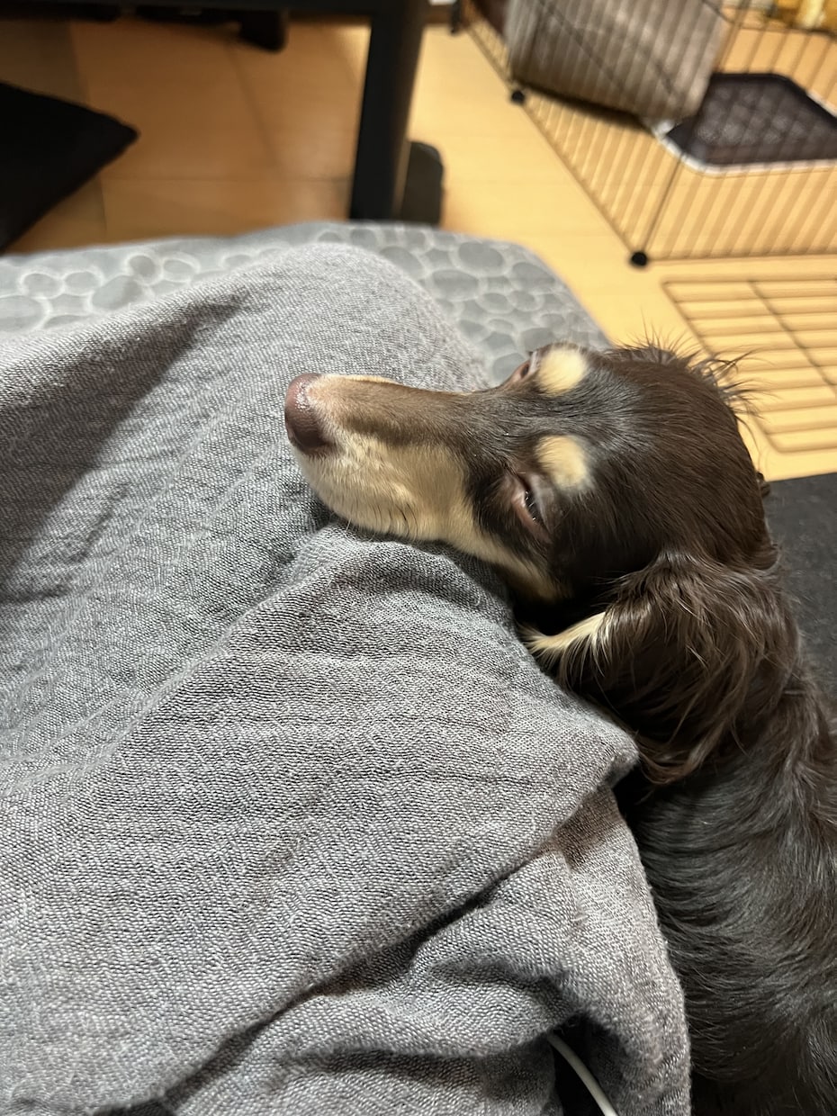 あなたのお話なんでも聞きます 現役看護師があなたのお話をなんでも聞きます イメージ2